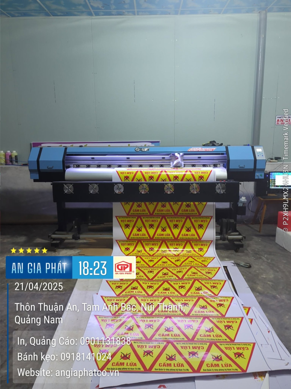 492798999 1235152585277387 2200133732807123970 n